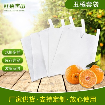 刀把口单层保护袋套翠冠丑橘套袋 150*170摘果园丑橘果袋套袋
