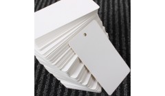 太阳纸业罗士余：方寸“纸”间创新路