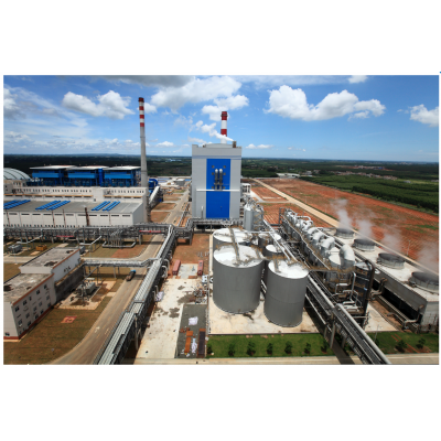 安德里茨提供完整的化学浆生产线