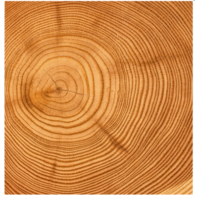 安德里茨制浆图2