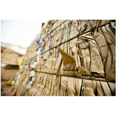 安德里茨制浆图3