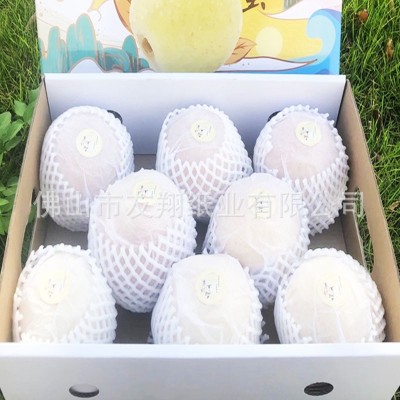 雪梨纸17克白色双拷贝纸红酒服装鞋水果防潮纸印刷logo包装内衬纸图3