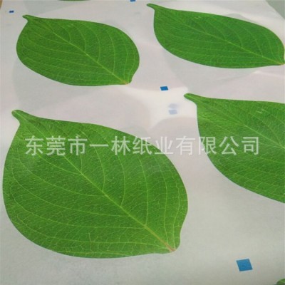 30G白牛皮纸印刷鞋子包装纸半透明蜡光纸图4