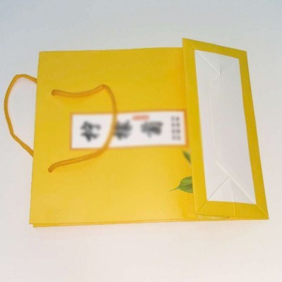 厂家直销各种大小手腕带 手提袋/礼品盒 纸盒彩印礼品盒图3