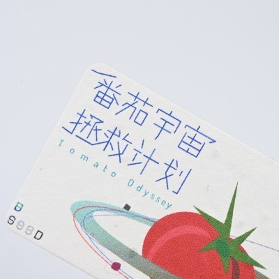 创意种子纸DIY门票贺卡入场券音乐节邀请函会发芽的纸可降解卡片图5