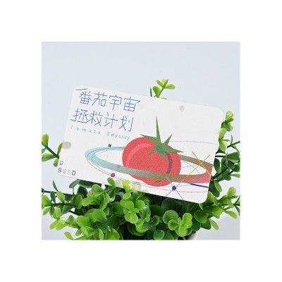 创意种子纸DIY门票贺卡入场券音乐节邀请函会发芽的纸可降解卡片图2