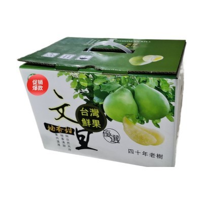 柚子文旦彩箱手提瓦楞纸箱新鲜应季水果2个装可加logo批发包邮