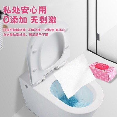 画柔纯水湿厕纸80抽便携装私处护理卫生湿巾洁厕纸巾家庭可冲散图4
