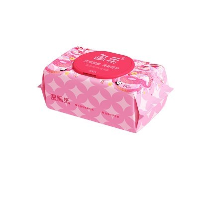 画柔纯水湿厕纸80抽便携装私处护理卫生湿巾洁厕纸巾家庭可冲散图2