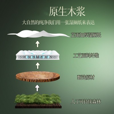 芷雨湿厕纸80抽家用可冲散清洁湿巾湿厕巾擦屁股洁厕纸湿 纸巾批发图4