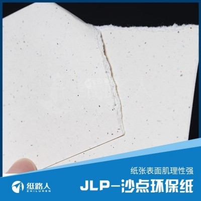 特种纸 纸 JLP沙点系列 进口木浆纤维纸默认项图2