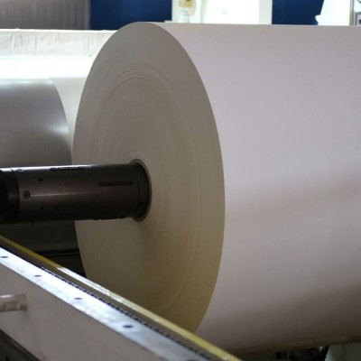 [易生] 聚乳酸淋膜纸,pla食品级白卡纸,牛皮纸,纸杯原材料图5