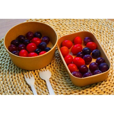 [易生]牛皮纸碗品质保证 可定制 放心选购按需定制 欢迎致电图3