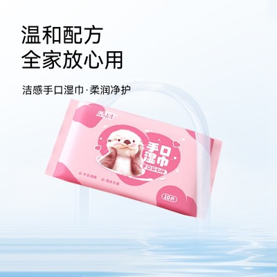 湿巾小包便携湿纸巾新生儿婴儿宝宝手口专用儿童学生随身装10包图3