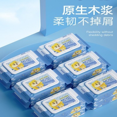 厂家直销湿厕纸60抽家庭装实惠私处护理草本湿巾洁厕卫生湿纸巾成图3