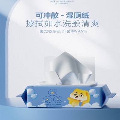 厂家直销湿厕纸60抽家庭装实惠私处护理草本湿巾洁厕卫生湿纸巾成