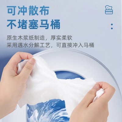 湿厕纸家庭实惠装洁厕湿巾私处擦屁屁男女士专用湿厕巾40抽图3