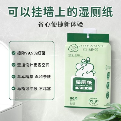 壁挂式湿厕纸家用80抽实惠装可冲马桶超划算擦屁股湿巾可降 解抑菌图2
