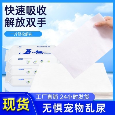 狗狗吸尿纸擦狗尿宠物尿片清理狗猫咪泰迪吸水纸擦尿速干尿布尿垫图3