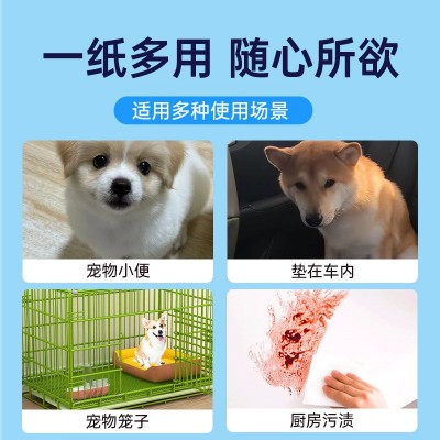 狗狗吸尿纸擦狗尿宠物尿片清理狗猫咪泰迪吸水纸擦尿速干尿布尿垫图2