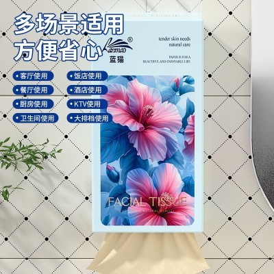 蓝猫抽纸2大提悬挂式家用纸巾挂式擦手纸卫生纸批发餐巾纸实惠装图2