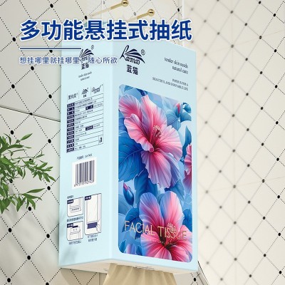 蓝猫抽纸2大提悬挂式家用纸巾挂式擦手纸卫生纸批发餐巾纸实惠装图3