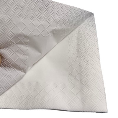 广州餐巾纸厂家现货供应23cm通版原生木浆一次性空白餐巾纸图2