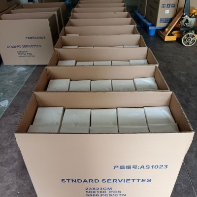 广州餐巾纸厂家现货供应23cm通版原生木浆一次性空白餐巾纸图5
