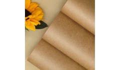 广西50万吨蔗渣的绿色转型：从糖业废料到造纸“黄金”