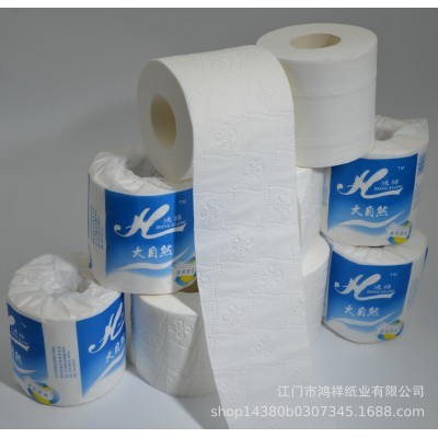 加工定制原生木浆两层三层压花小卷卫生纸 厕所卫生间水溶卷纸厕图4