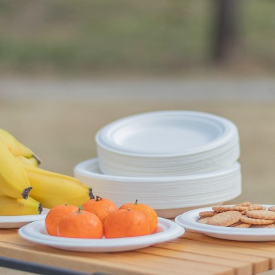 一次性环保甘蔗浆可降解纸碟烧烤生日蛋糕盘加厚餐盘美术绘画盘子