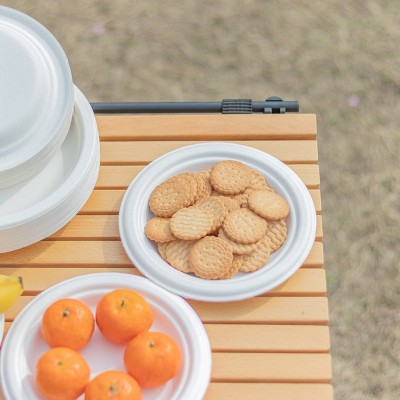 一次性环保甘蔗浆可降解纸碟烧烤生日蛋糕盘加厚餐盘美术绘画盘子图5