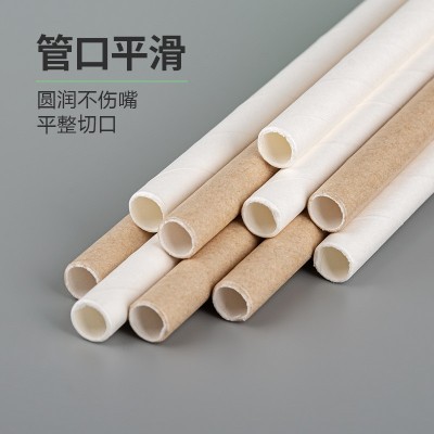 现货奶茶吸管一次性纸质可降解单支包装耐高温加厚加平食品级盒装