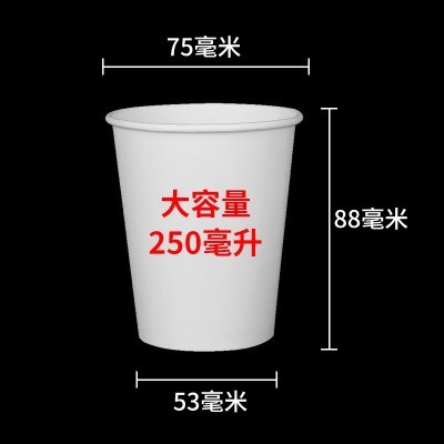 纯色纸杯一次性杯子白色加厚家用本色办公商务水杯幼儿园空白口杯图4