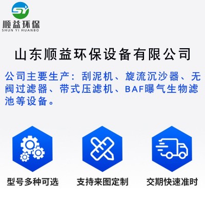 造纸厂污水处理设备 洗砂厂污泥压滤脱水机 石料厂废污水处理图5