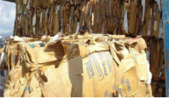 2025年8月7日纸厂废纸价格信息