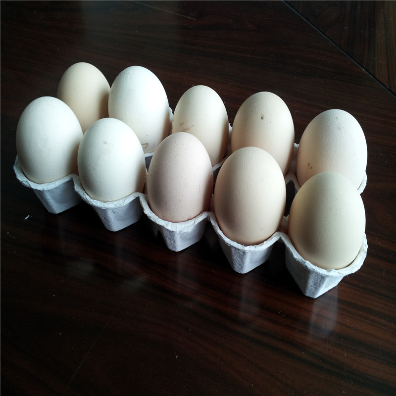 c69557dd1077c9a3a48581d878b46a