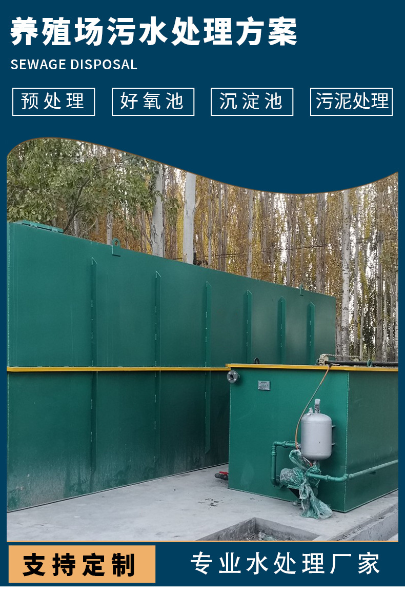详情_02.jpg