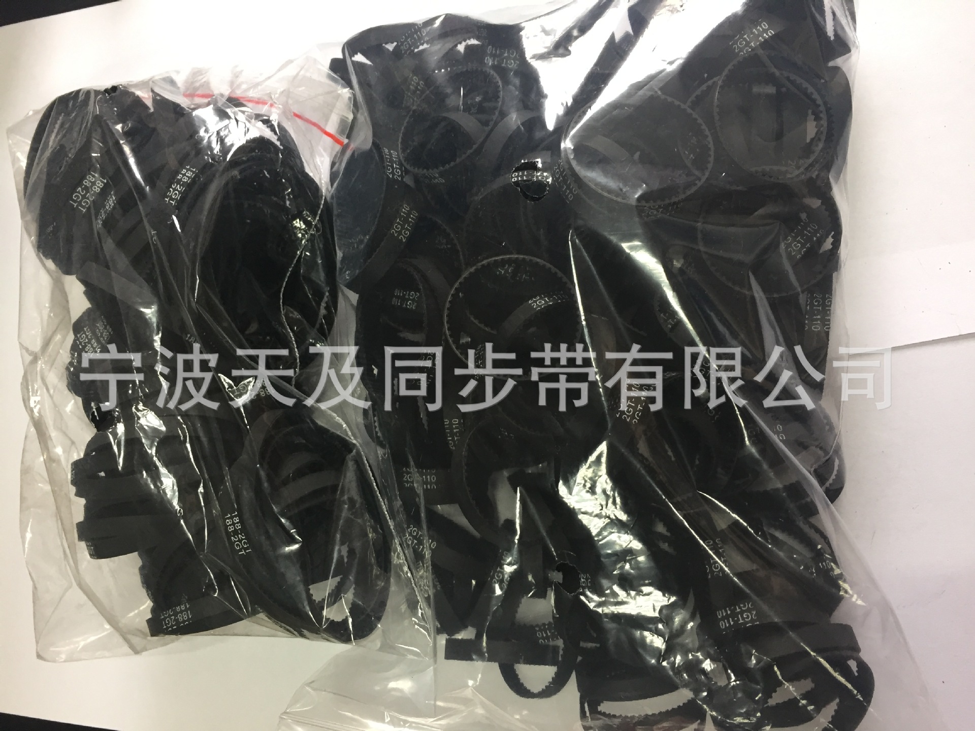 照片 009