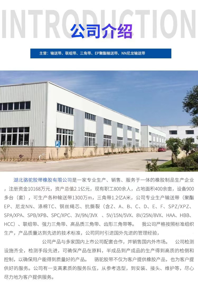 E-_骆驼_详情页1_10