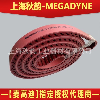 MEGADYNEAT20+APL同步带齿形皮带 带式输送图3