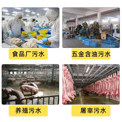 溶气式气浮机洗涤污水处理平流式溶气气浮机图3