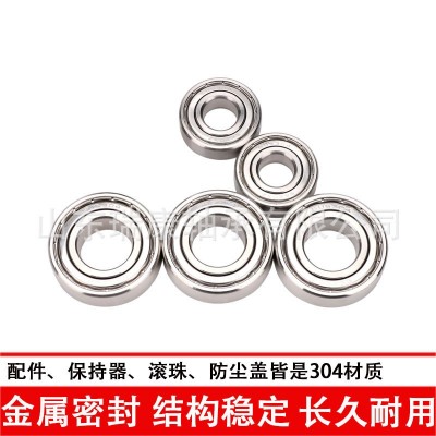 440/304防水耐腐蚀不锈钢轴承S6000 6001 6002 6003 6004 6005ZZ图5