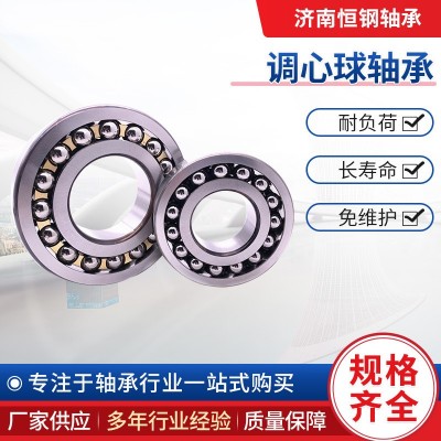 1308 厂家直供调心球轴承 1310EKTN9 1309E C3 1312 1311 1307