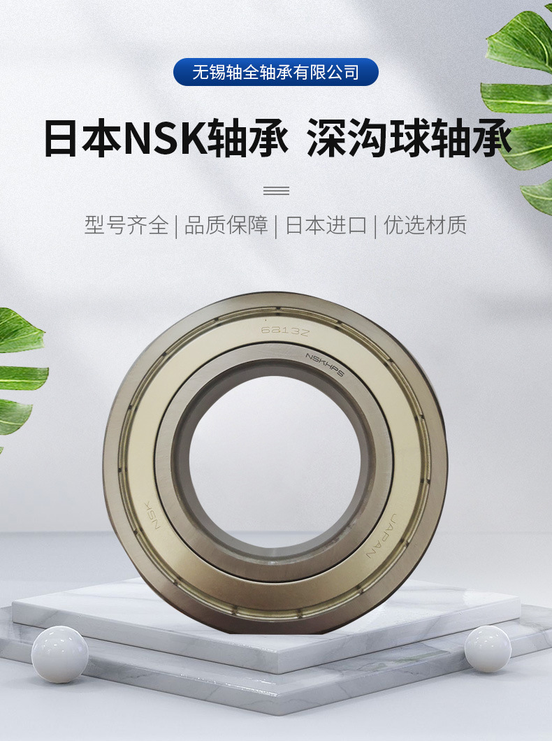 日本NSK轴承--深沟球轴承详情_01