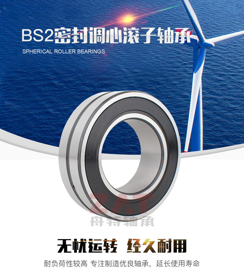 BS密封调心滚子轴承_01.jpg
