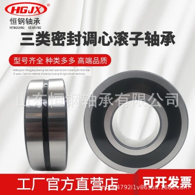 三类密封加厚 BS2-2206-2CS-2RS 30*62*25 22206CA 调 心滚子轴承图4