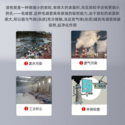 PP活性炭吸附箱生产厂家 喷漆房饲料厂养殖场垃圾站恶臭 废气处理图3