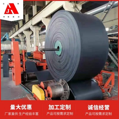 定制加工博傲尼龙输送带 尼龙传送带橡胶传输带 煤炭环形传输皮带