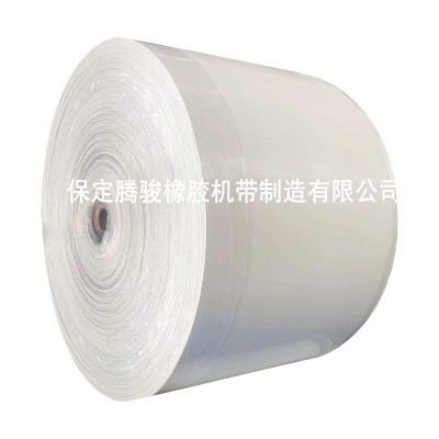 白色橡胶尼龙输送带传送带工业级耐高温耐磨流水线环形橡 胶输送带图4